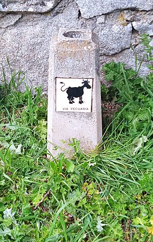 Archivo:ViaPMojon