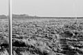 Walter de Maria, The Lightning Field, 1977 (7873321374)