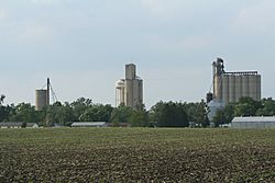 Weldon Illinois Water tower and Grain Elevators.jpg