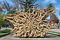Árbol caído, Quillota 20210822 34