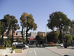 A view of Igdir city centre