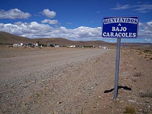 Archivo:Acceso a Bajo Caracoles por la Ruta Nacional 40.