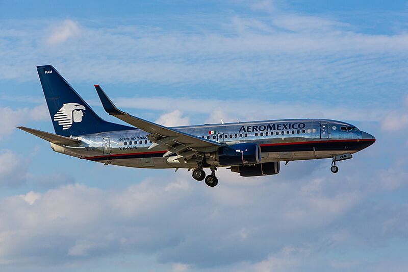 Aeromexico Boeing 737 (14104171394)