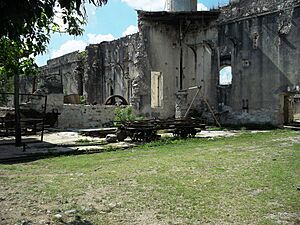 Archivo:Aké, Yucatán (08)