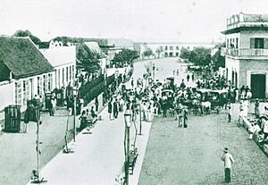 Archivo:Antiguo Camellón Abello (Barranquilla, 1903)