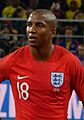 Ashley Young 2018-07-03 1