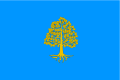 Bandera del Rourell.svg