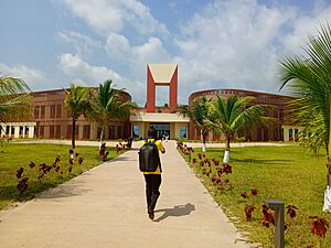 Archivo:Bibliothèque de l'Université de San-Pedro en 2024 02