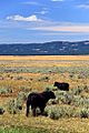 Big Summit Prairie (Crook County, Oregon scenic images) (croDB2660)