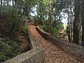 Bosque del Adelantado 6