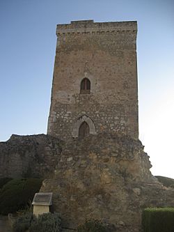 Archivo:Castillo Monturque 126