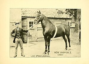 Archivo:Catalogue of Truman's Pioneer Stud Farm - importers, exporters and breeders of Shire, Percheron, Belgian, Suffolk and Hackney horses (1903) (14594292517)
