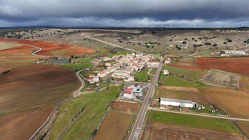 Cernégula