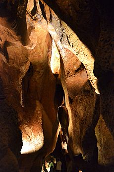 Archivo:Coves o grutes de sant Josep, la Vall d'Uixó