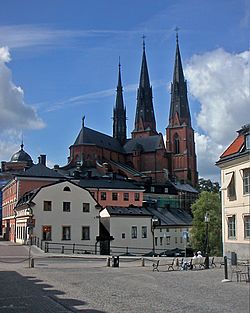 Domkyrkan i Uppsalas stadsbild.jpg