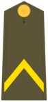 Ejerespadivi06.svg