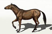 Archivo:Equus conversidens