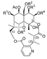Estructura de los alcaloides de celastraceae