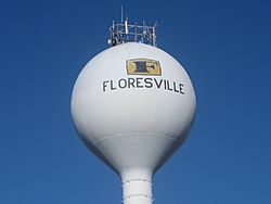 Floresville, TX, water tower IMG 2657.JPG