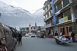 Gilgit Northern Pakistan.jpg
