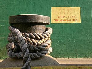 Archivo:HK TST Star Ferry Victoria Harbour Mooring Rope
