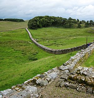Archivo:Hadrians Wall from Housesteads1 crop