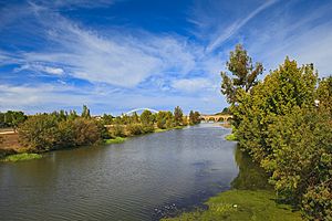 Archivo:Mérida. Guadiana river. Badajoz. Extremadura. Spain (4923913891)