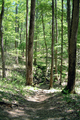 Mammoth Cave National Park path