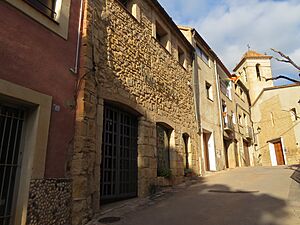 Archivo:Museo Municipal de Cabaçes, Priorat, Tarragona. Museo del pintor Miquel Montagud (1897-1984)