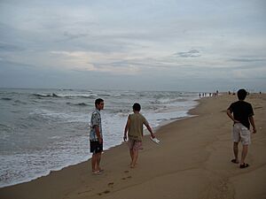 Archivo:Nhat Le Beach