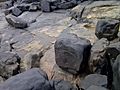 Petroglifos en playa Sardinata