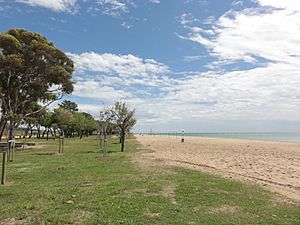 Archivo:Platja dels Pins, 2