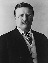 Archivo:President Theodore Roosevelt, 1904