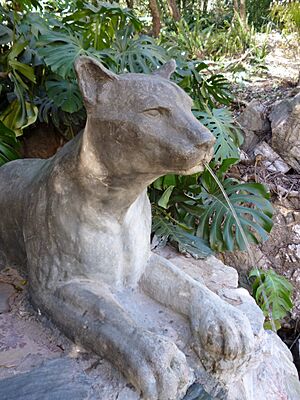 Archivo:PuMa SaLuS
