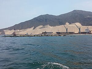 Archivo:Puerto Pesquero de Chimbote