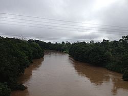 Río San Carlos.jpg