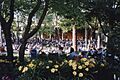 Ravinia