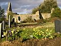 Ruins of St Peter's Church - geograph.org.uk - 122735