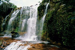 Salto Pacheco (2004) 01.jpg