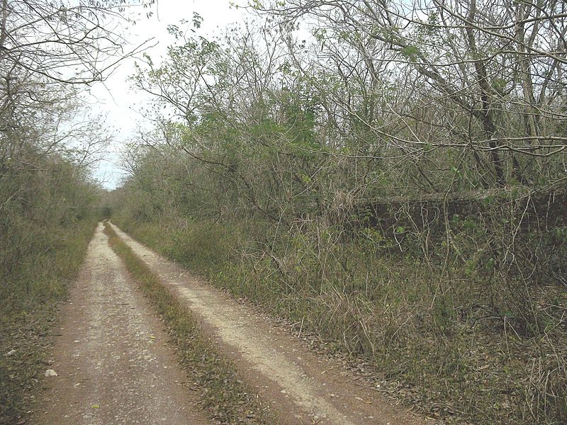 San Antonio Holcá, Yucatán (02)