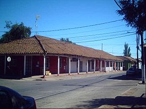 Archivo:San Clemente Chile