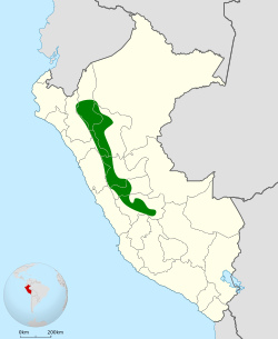 Distribución geográfica del churrín ventrirrufo.