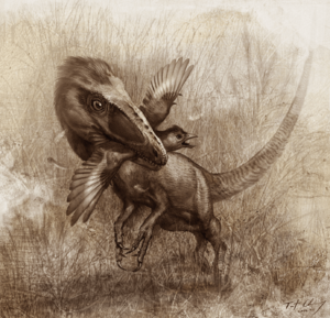 Archivo:Sinocalliopteryx gigas feeding on the primitive bird Confuciusornis - journal.pone.0044012.g008
