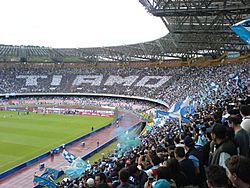Archivo:Stadio San Paolo Napoli - panoramio