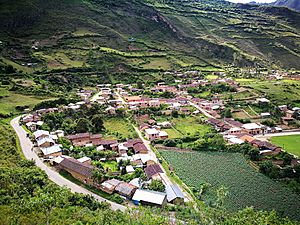 Archivo:Vista de Leimebamba des de dalt, de camí al Museu