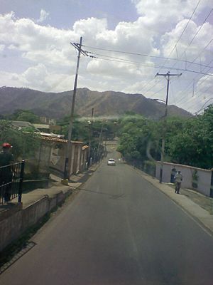 Archivo:Vista de la Avenida Los Puentes