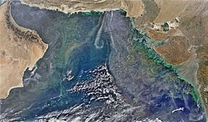 Archivo:Winter Phytoplankon Arabian Sea