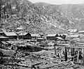 Winter in Montgomery, circa 1880s - DPLA - a85550daf546d80511282cac549cefaa