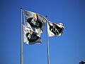 Arlaflag ved Arla Friskvareterminal Ishøj