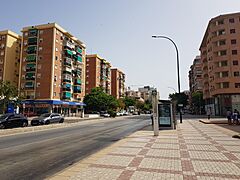 Avenida de Velázquez Málaga 20240720 111057.jpg